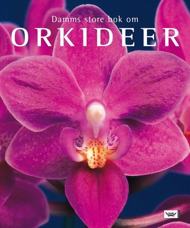 Ultimate orchid
