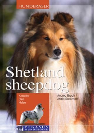 Sheltie