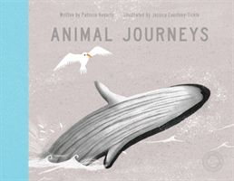 Animal journeys
