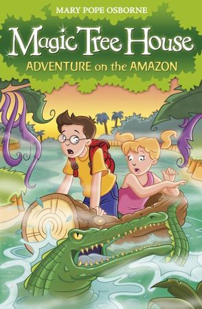 Afternoon on the Amazon