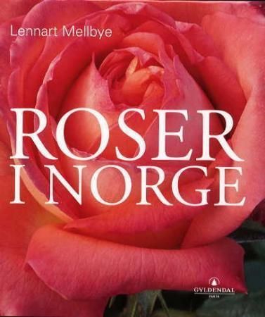 Roser i Norge