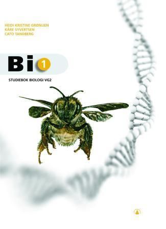 Bi 1