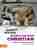 A lion called Christian