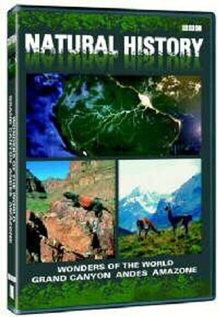 Wonders of the world