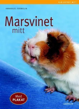 Mein Meerschweinchen