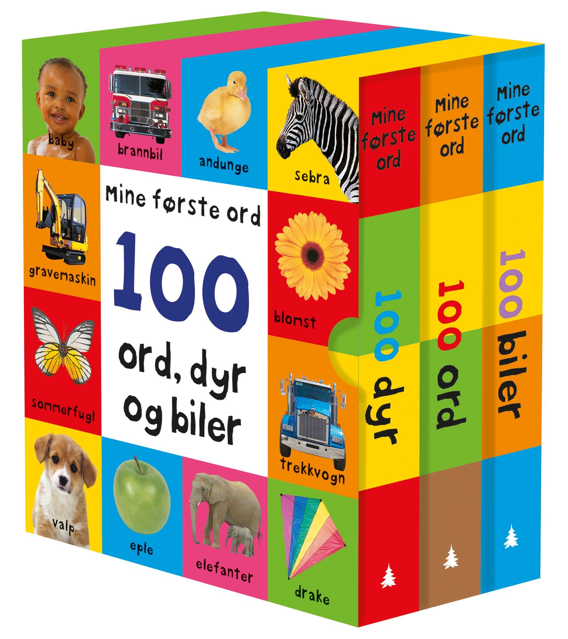 First 100 words
