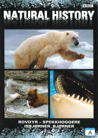 Predators - killer whales, polar bears, bears