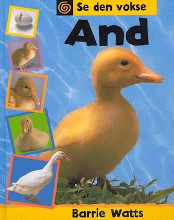 Duck
