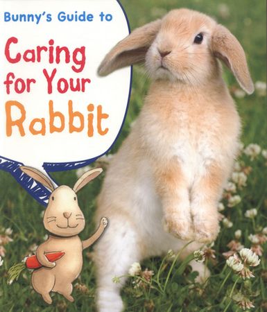 Bunny's guide to caring for your rabbit
