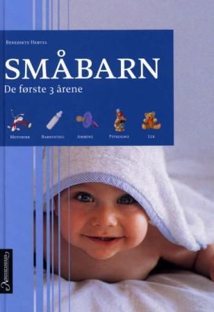 Det lille barn