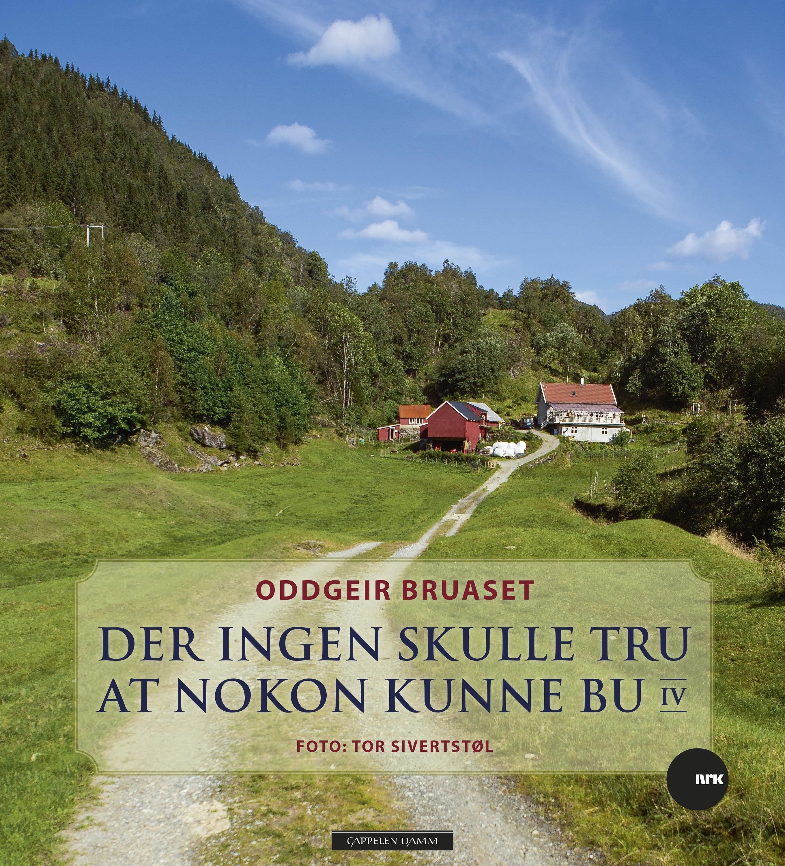Der ingen skulle tru at nokon kunne bu. IV