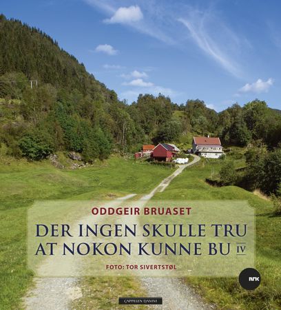 Der ingen skulle tru at nokon kunne bu. IV