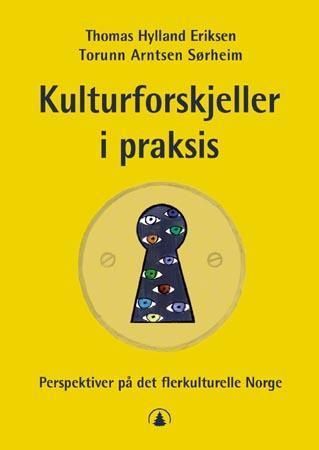 Kulturforskjeller i praksis
