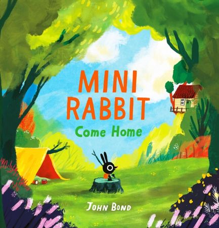 Mini Rabbit come home