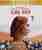 Lady Bird