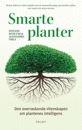 Verde brilliante