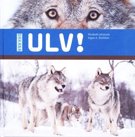 Ulv!