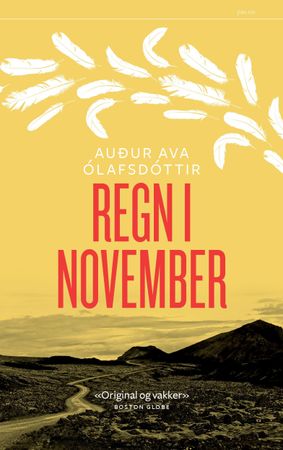 Rigning í nóvember