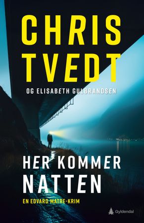 Her kommer natten : kriminalroman