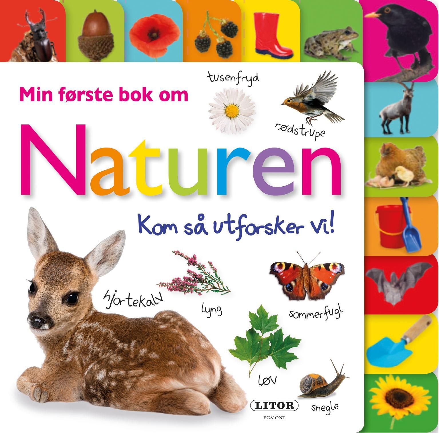 My first nature