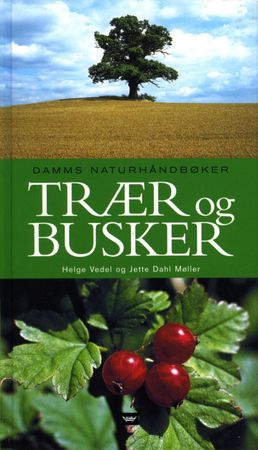 Træer og buske i landskabet
