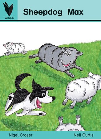 Sheepdog Max