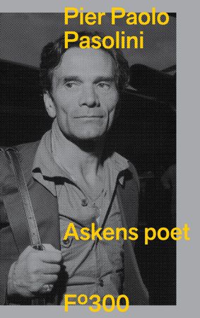 Poeta delle ceneri