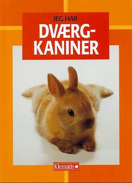 Zwergkaninchen
