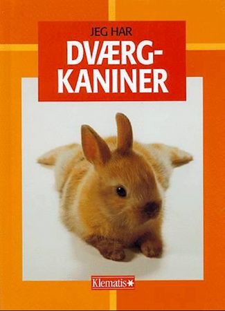 Zwergkaninchen