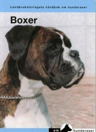 De boxer