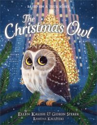 The Christmas owl