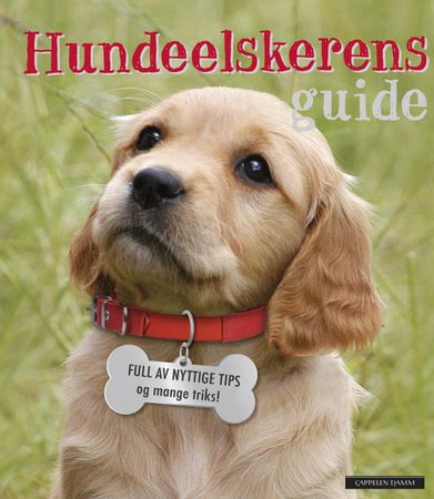 The dog lover's guide