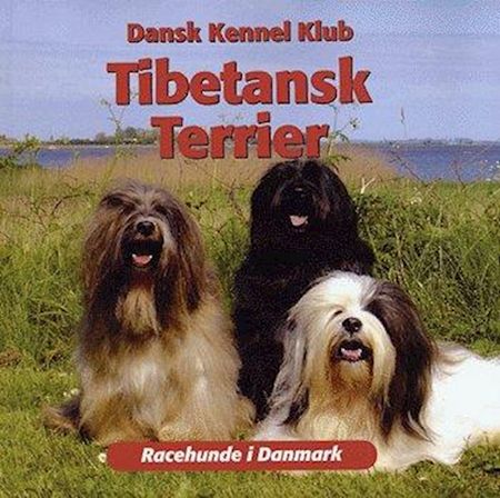 Tibetansk terrier
