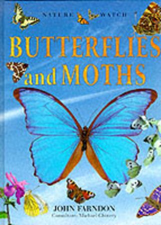 Butterflies and moths