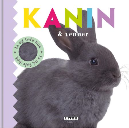 Bunny and friends