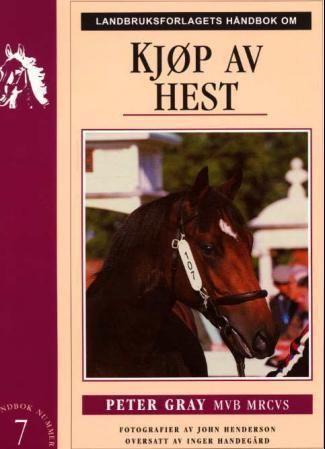 Buying a horse