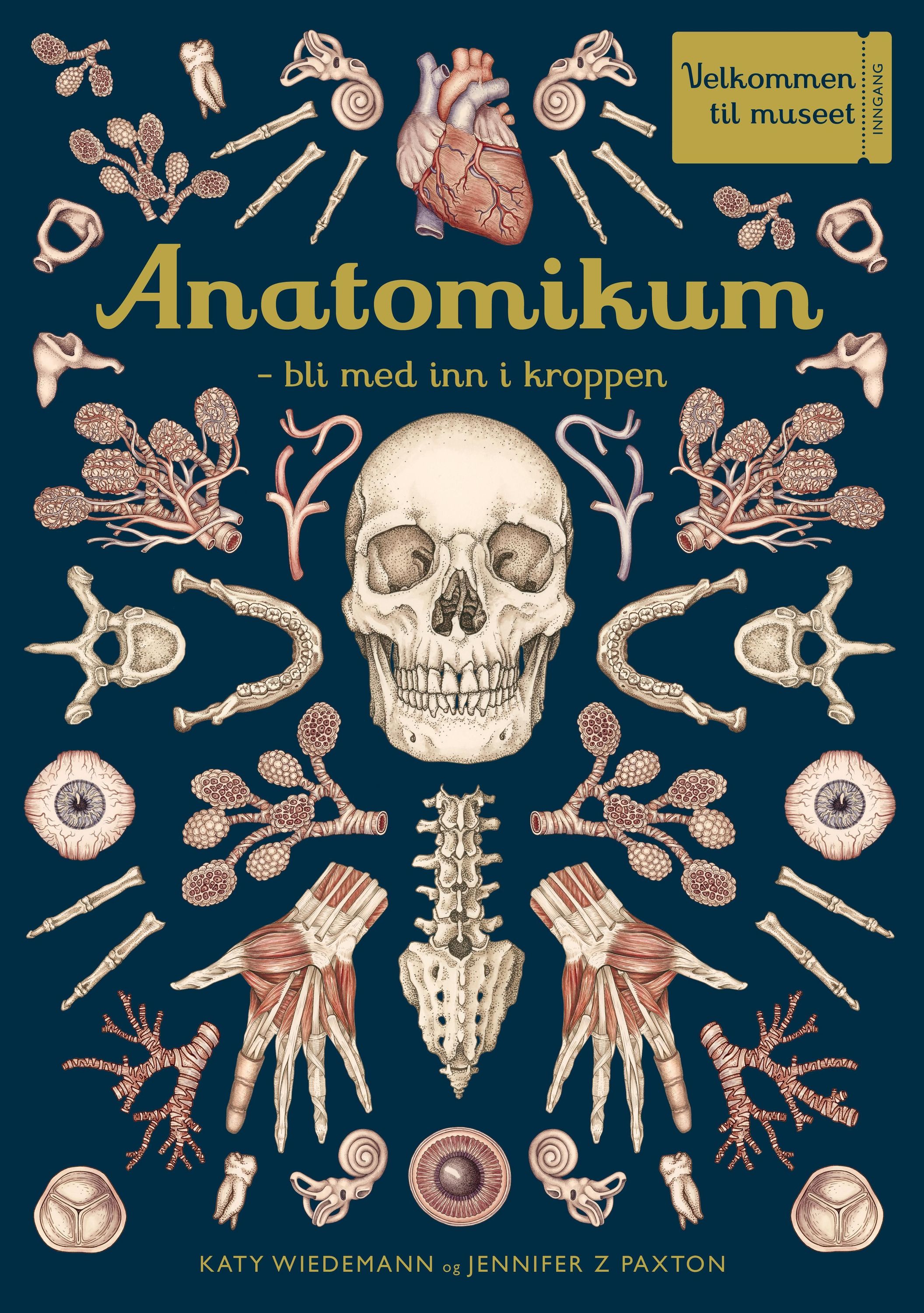 Anatomicum