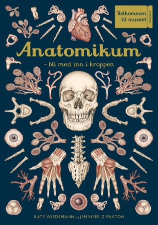 Anatomicum