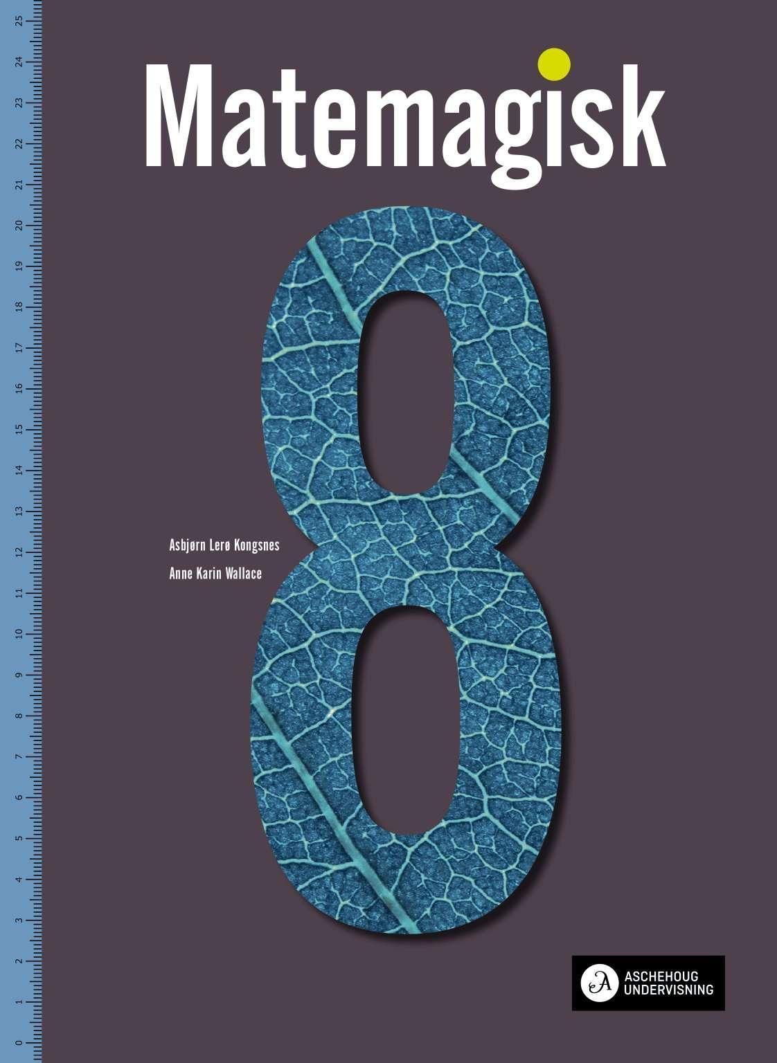 Matemagisk 8. Parallellbok