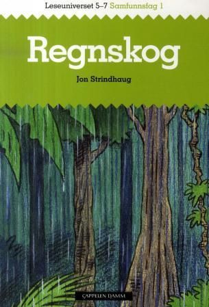 Regnskog
