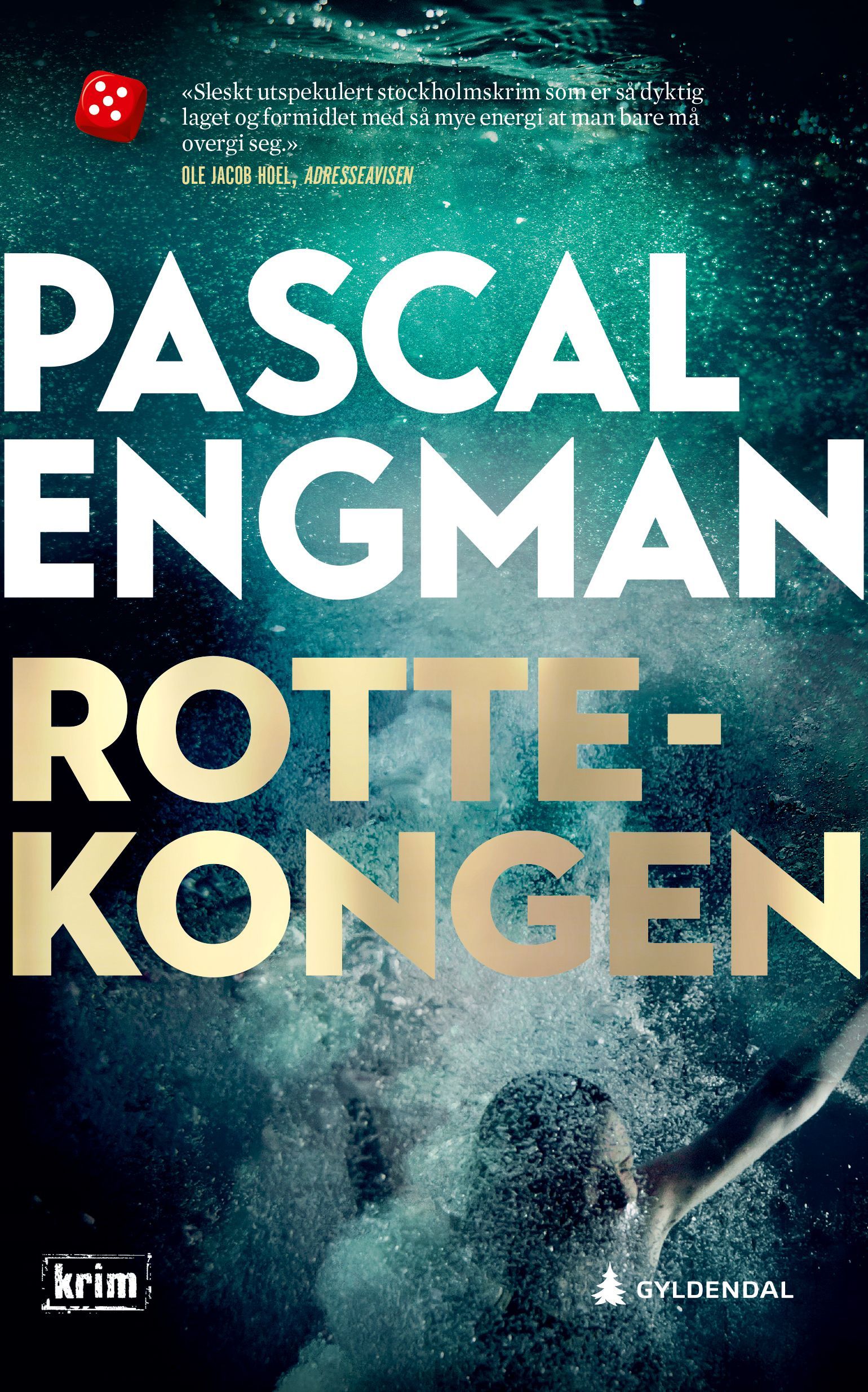 Råttkungen