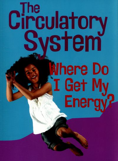The circulatory system