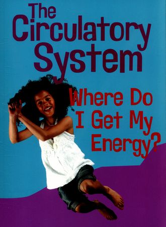 The circulatory system