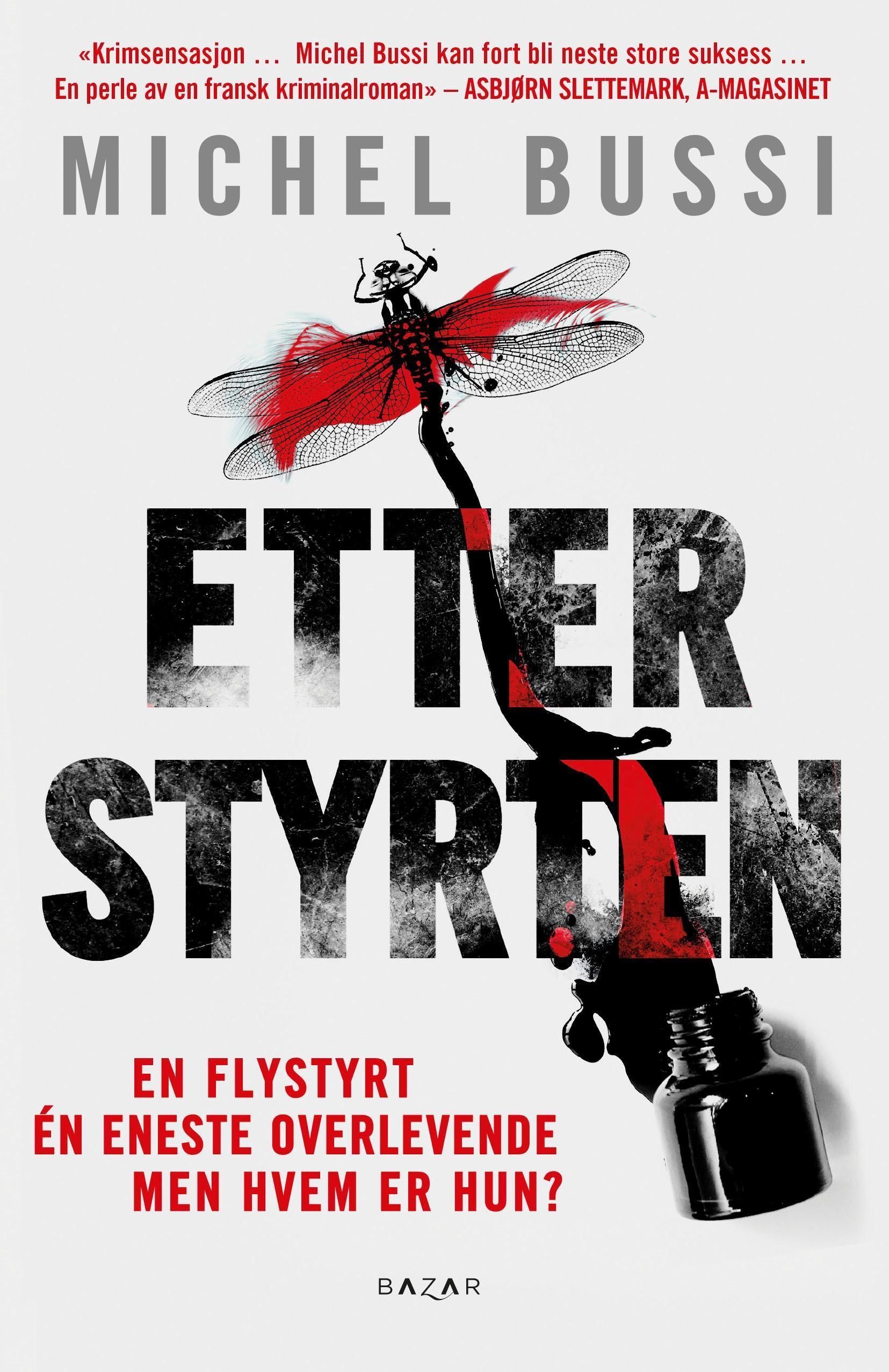Un avion sans elle