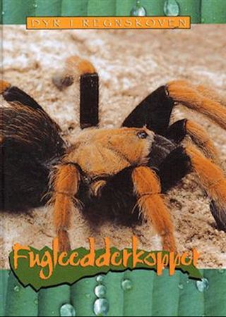 Tarantulas