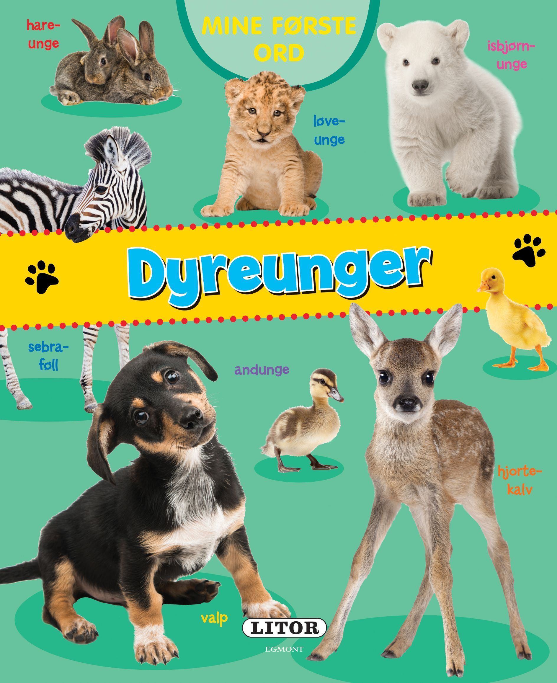 Baby animals