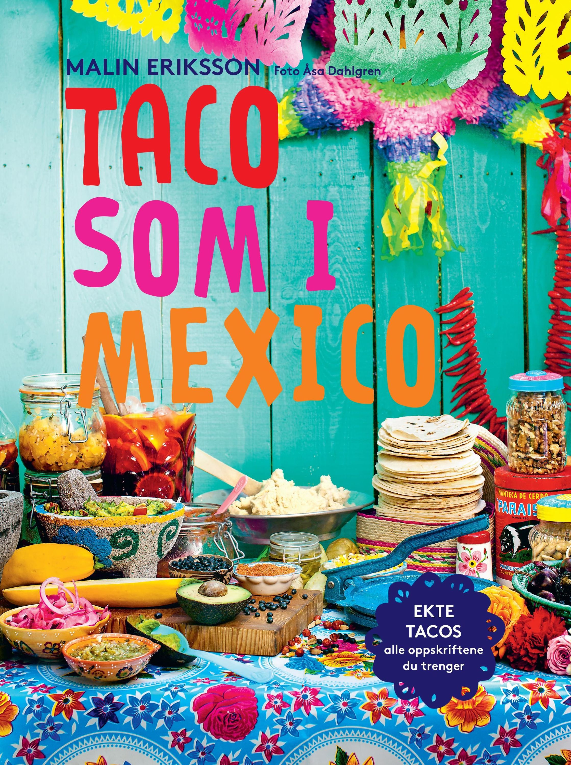 Taco Mexican style