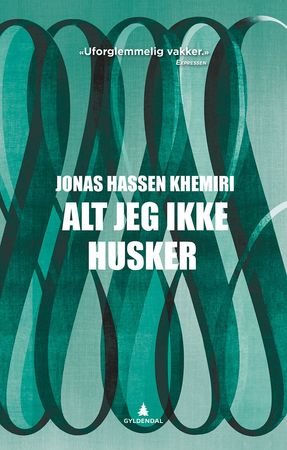 Allt jag inte minns