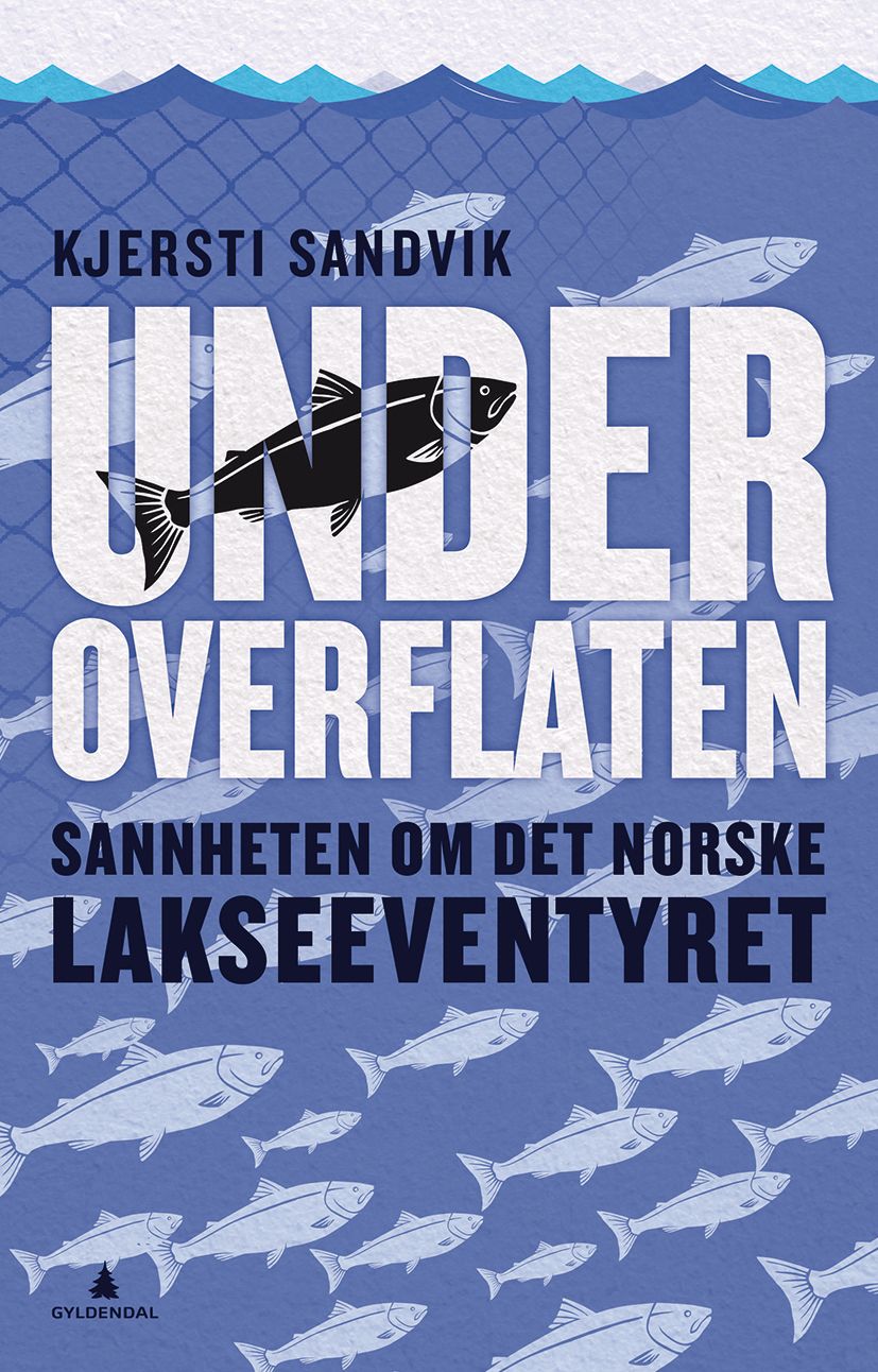 Under overflaten