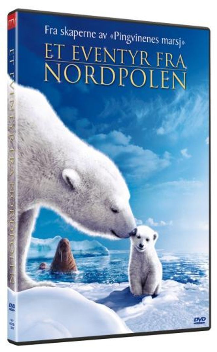 Arctic tale